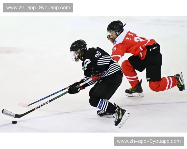 冰球阵容:速度与策略的完美交响 冰球阵容:速度与策略的完美交响